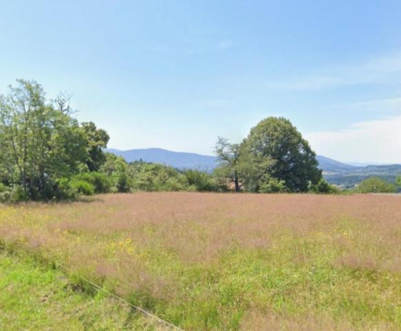 Celles sur Durolle (63250) Ensemble immobilier Maison (+/-160m2) + grange (+/- 270m2) + terrain constructible (+/-3500m2)