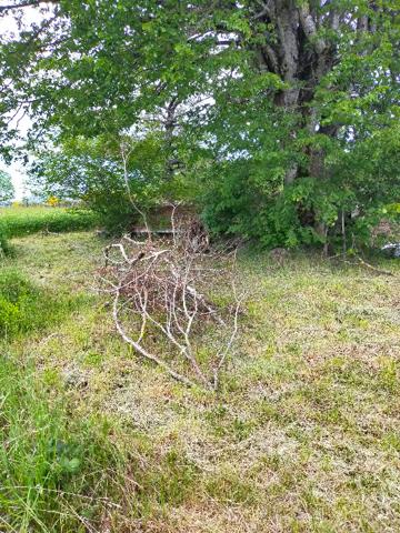 Celles sur Durolle (63250) Ensemble immobilier Maison (+/-160m2) + grange (+/- 270m2) + terrain constructible (+/-3500m2)