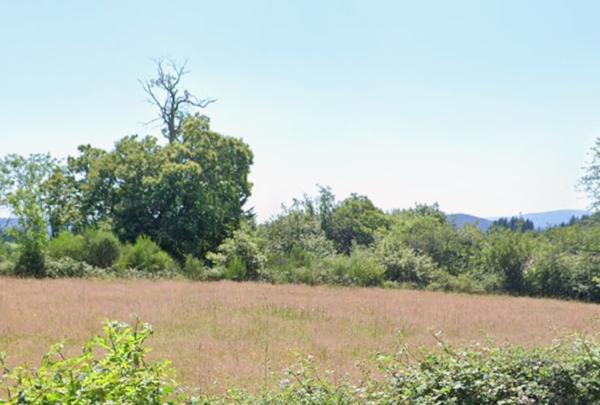 Celles sur Durolle (63250) Ensemble immobilier Maison (+/-160m2) + grange (+/- 270m2) + terrain constructible (+/-3500m2)