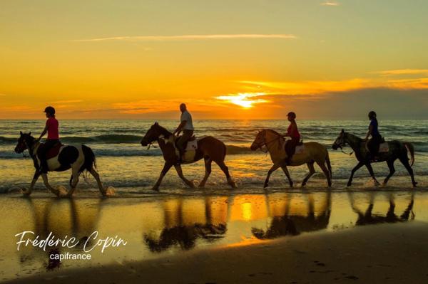 Hardelot-Plage – T4 102 m² – terrasse XXL 74 m² plein Sud – 3 ch – Plage & commerces à pied