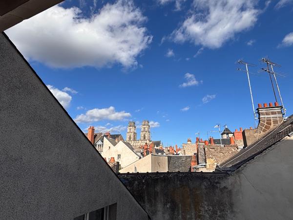 Appartement meublé hyper centre Orleans 3 pièce(s) 54 m2