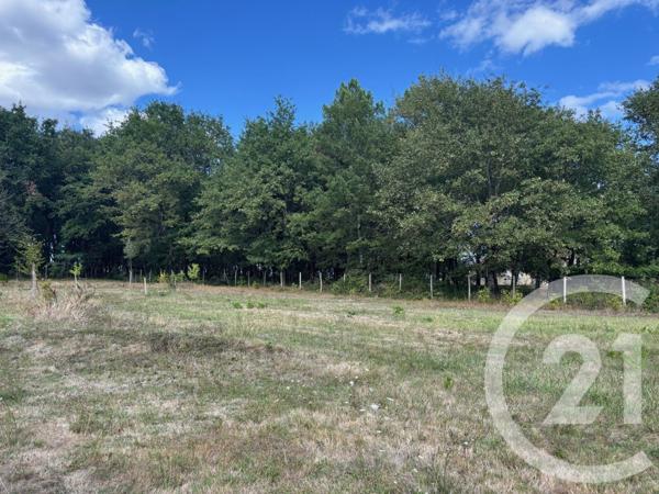 Terrain à vendre  3400 m2 MONTPON MENESTEROL - 24