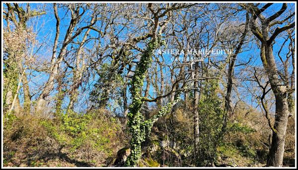 TERRAIN à vendre PESSAN (32)