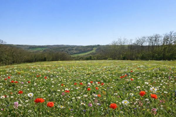 TERRAIN à vendre PESSAN (32)