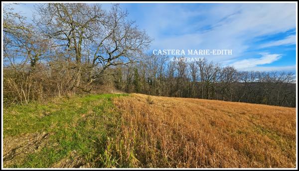 TERRAIN à vendre PESSAN (32)