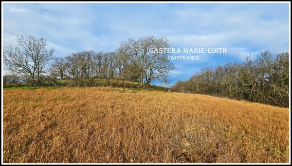 TERRAIN à vendre PESSAN (32)