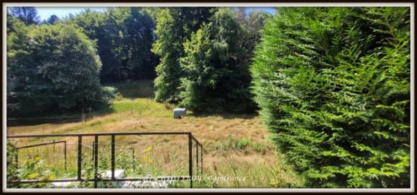 Site immobilier à vendre à PEXONNE (54)