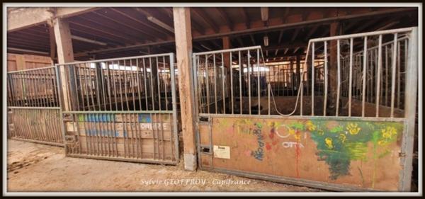 Site immobilier à vendre à PEXONNE (54)