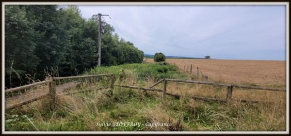 Site immobilier à vendre à PEXONNE (54)