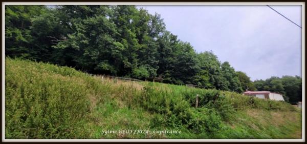 Site immobilier à vendre à PEXONNE (54)