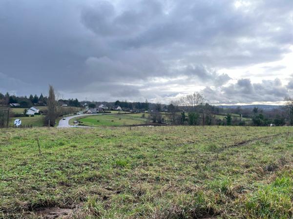 Terrain à vendre    Cosnac