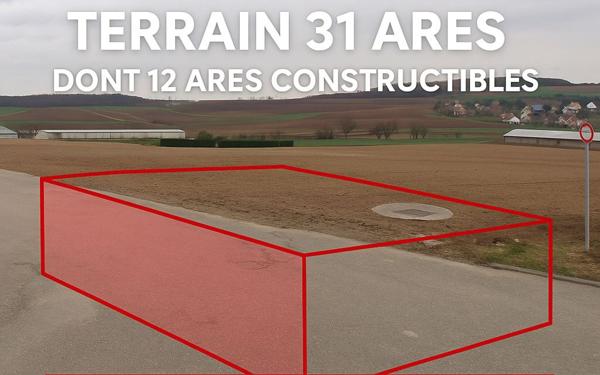 Terrain à vendre    Willgottheim