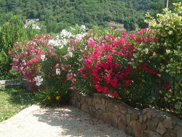 Ardèche, dans la belle Vallée de l’Eyrieux – Saint-Fortunat-sur-Eyrieux – Au bord de la voie douce La Dolce Via - Grande maison, prête à habiter