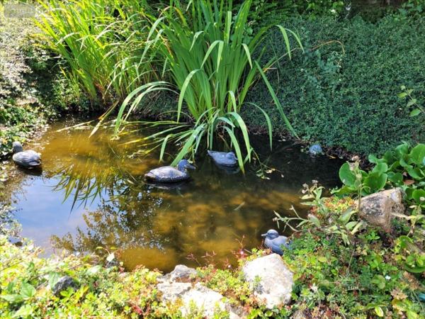 Maison à vendre à Saint-Ouen-du-Tilleul dans l'Eure (27670), ref : 299250