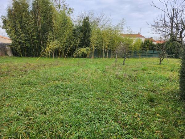 Sainte-Gemme-la-Plaine (85400) Terrain constructible non viabilisé