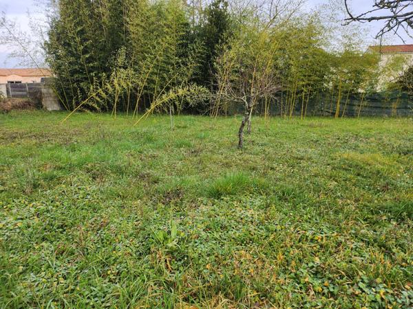 Sainte-Gemme-la-Plaine (85400) Terrain constructible non viabilisé