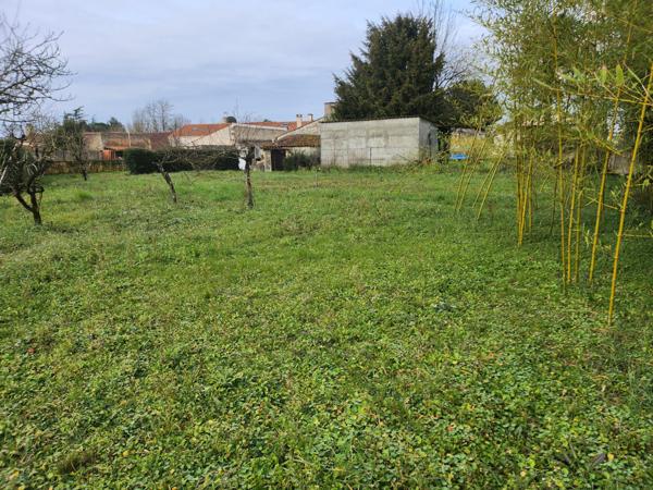 Sainte-Gemme-la-Plaine (85400) Terrain constructible non viabilisé