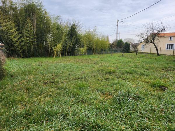 Sainte-Gemme-la-Plaine (85400) Terrain constructible non viabilisé