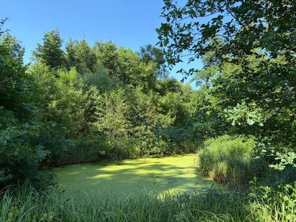 Ferme Bressane à rénover avec dépendances sur grand terrain