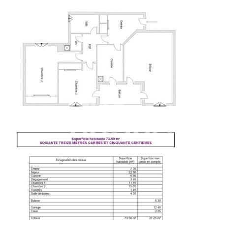 Appartement Lyon 3 pièce(s) 73.50m2 Garage - balcon - cave vendu loué