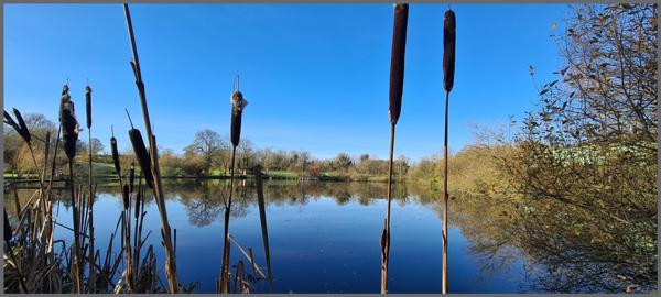 Terrain à Bressuire, 79300 - 14317m²