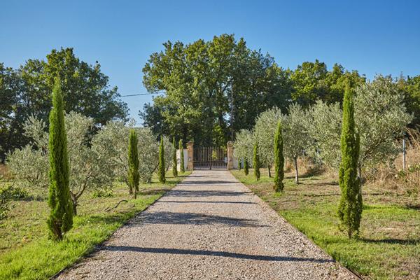 Villa Rognes - 6 chambres - terrain 8600m2