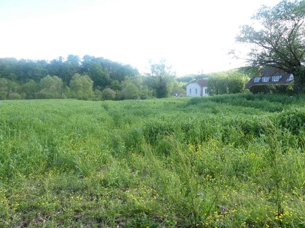 À vendre - Terrain projet construction 700 m² situé à Salies-de-Béarn (64270)