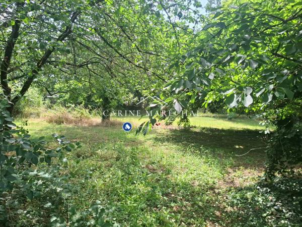 À vendre - Terrain projet construction 1991 m² situé à Tournefeuille (31170)