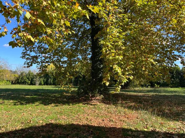 Vente des murs d’un immeuble exploité en hôtel-restaurant Saint-Aigulin (17360)