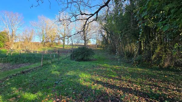 TERRAIN BORD DE VIENNE