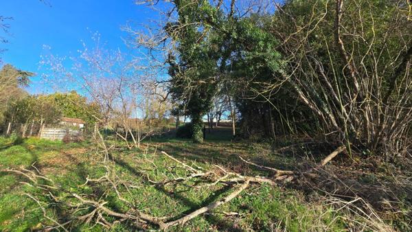TERRAIN BORD DE VIENNE