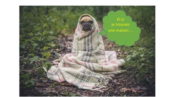recherche appartement LIMOUX