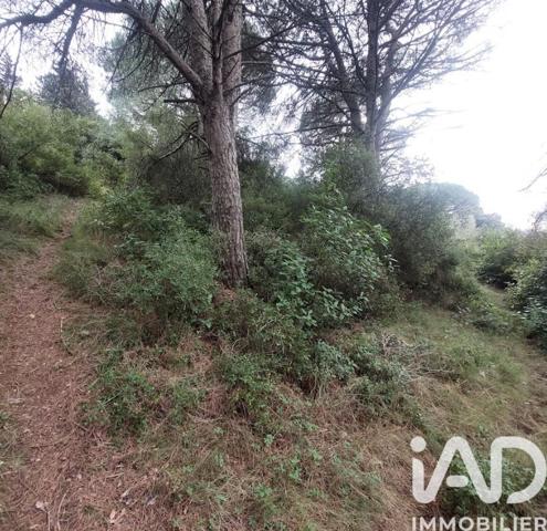 Terrain à vendre 4 965 m² Générac
