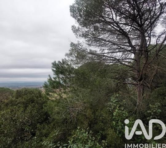 Terrain à vendre 4 965 m² Générac