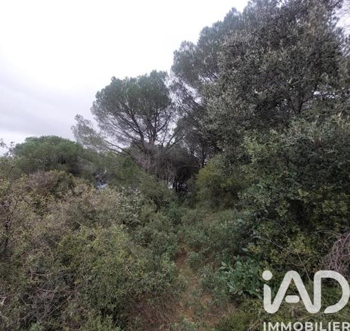 Terrain à vendre 4 965 m² Générac