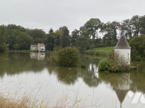 Dans le Morvan, superbe étang et forêt