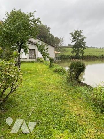 Dans le Morvan, superbe étang et forêt