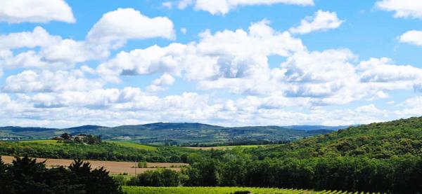 Maison 7 pièces à vendre à Pauligne - 200 m² sur terrain de 3954 m²