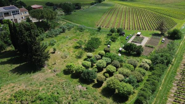 Maison 7 pièces à vendre à Pauligne - 200 m² sur terrain de 3954 m²