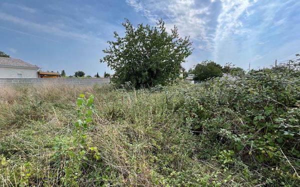 Terrain à vendre |  Saint-Émilion |  687 m²