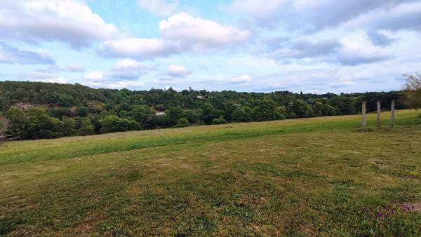 Maison dépendances puits terrain
