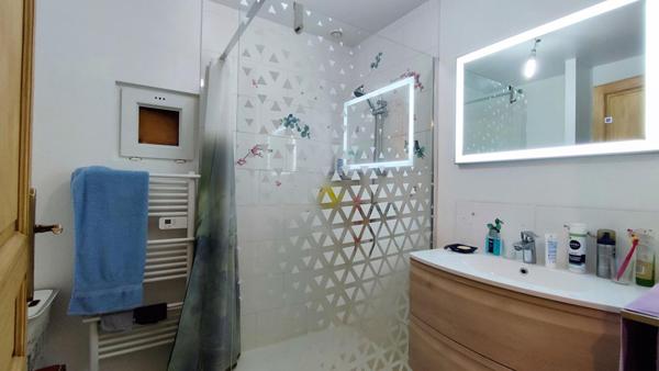 Maison dépendances puits terrain