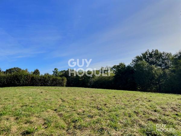 Terrain viabilisé avec bois 6420 m² proche Hagetmau