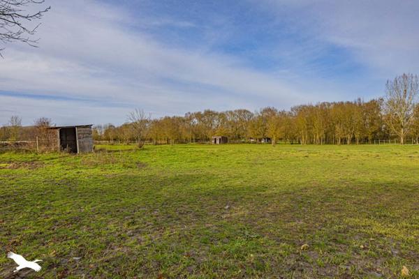 Maison à vendre |                                       Azay-sur-Cher |                                        8 pièces  |  150 m²