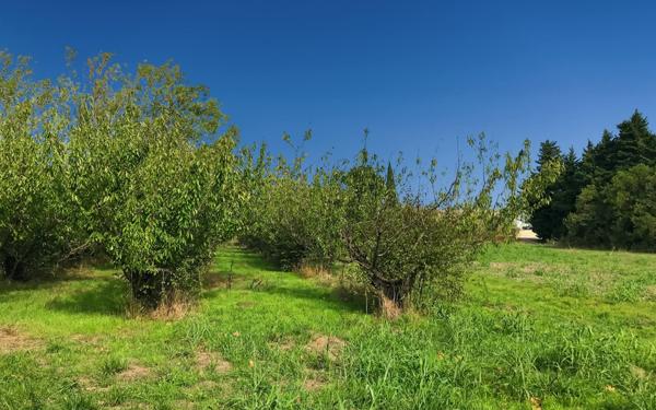 Maison à vendre    5 pièces •  Châteaurenard