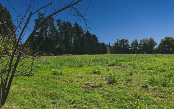 Maison à vendre    5 pièces •  Châteaurenard