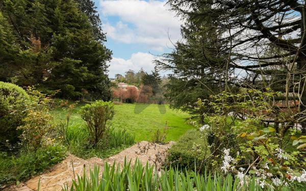 SAINT CYR AU MONT D'OR - MAISON DE 190 M2 - Agrandissement possible -TERRAIN DE 3 300 M2