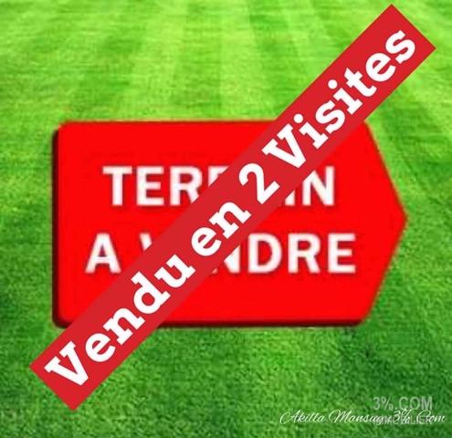 Terrain 552 m² 54300 Lunèville Lunéville (54300)