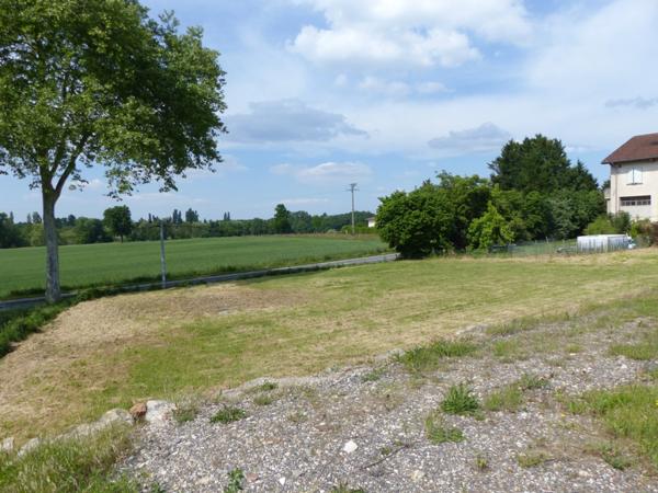 Immeuble mixte à vendre à Neuville-les-Dames (01400) – Investissement locatif avec terrain, proche Bourg-en-Bresse