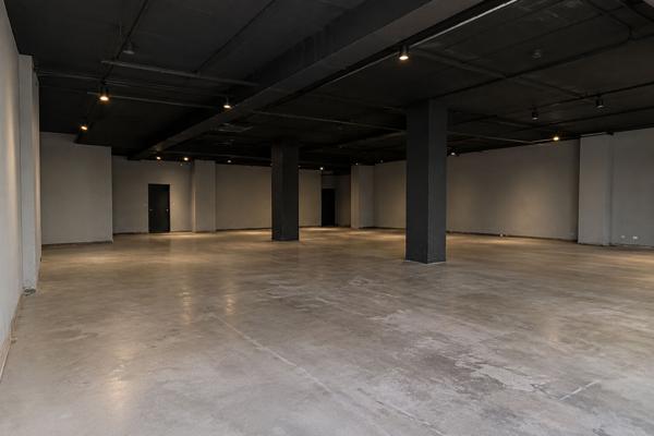 Toulouse centre ville, local d'activité 250m2